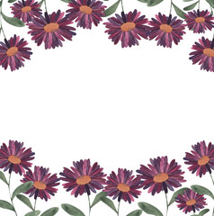 Square frame of gerbera flowers,daisies watercolor pink flower, background illustration