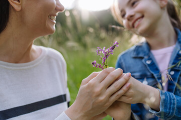 Obraz premium Daughter giving beautiful mother purple flower as gift. Concept of Mother's Day, maternal love.