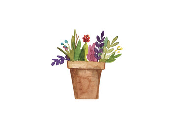 Flowers in a ceramic pot, garden flowers, onion, sprouts, spring watercolor illustration highlighted on a white background