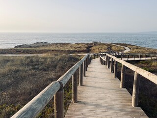 Obraz premium Boardwalk by the ocean coast 