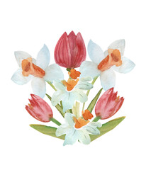 Spring bouquet of tulips and daffodils, watercolor illustration isolated on a white background
