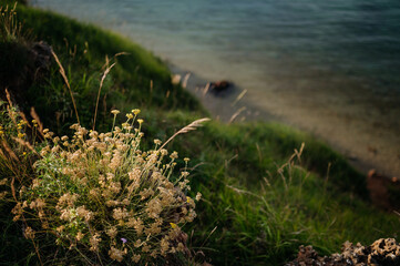 Beautiful landscape of Croatia, Croatia coast, sea and rocks in water. Shot from above.