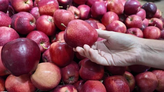 Hand selecting a fresh red apple from a bountiful display at a grocery store, promoting healthy eating and organic produce selection