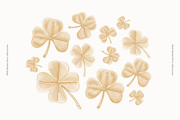 Obraz premium Clover leaves in engraving style. St. Patrick's holiday element on light background. Three leaf clover is symbol of independence and freedom. Four leaf clover is symbol of good luck and prosperity.