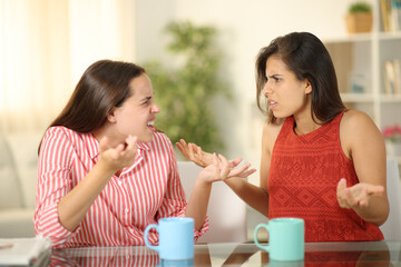 Two angry women at home arguing - 739801401