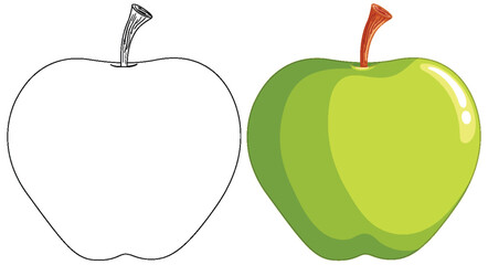Vector illustration of an apple, half sketched, half colored.