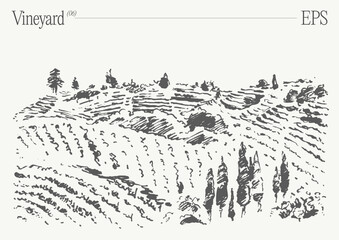 Vineyard Landscape. Vintage wine Label Background. Hand drawn vector illustration, sketch.