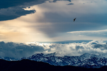 光射す雲と雪山に鳥