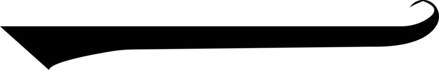 Calligraphy element. Vintage ornate ornament. Decorative divider and scroll. Doodle swash. Hand drawn calligraphic vector, Swash swoop and swish calligraphy sign. Border for text, scroll and banner.