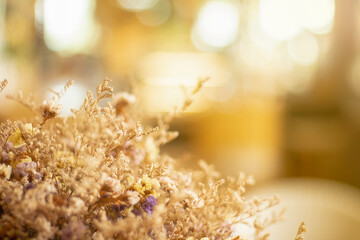 Statis dried flowers in the bouquet, Vintage Style, Limonium spp. Bokeh background.