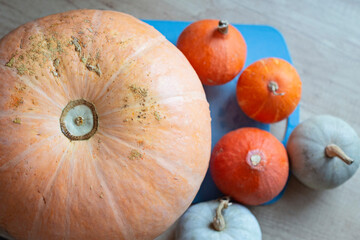 Top view, flat autumn composition. Pumpkins of different sizes lie on the table. Autumn composition, large and small pumpkins on the kitchen table