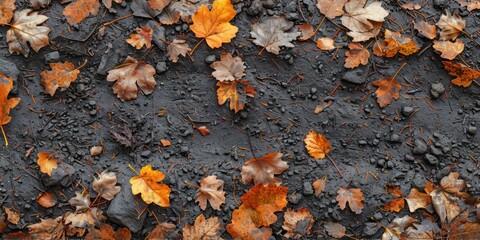 Scattered leaves and dirt overlay, forest floor, autumnal texture