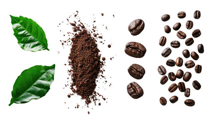 Obraz premium coffee with coffee beans and real coffee leaves 