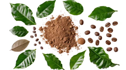 Fotobehang coffee with coffee beans and real coffee leaves isolated on transparent and white background.PNG image © CStock