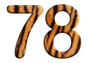The shape of the number 78 is made of tiger fur or tiger skin isolated on transparent background. suitable for birthday, anniversary and memorial day templates