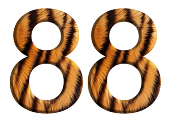 The shape of the number 88 is made of tiger fur or tiger skin isolated on transparent background. suitable for birthday, anniversary and memorial day templates