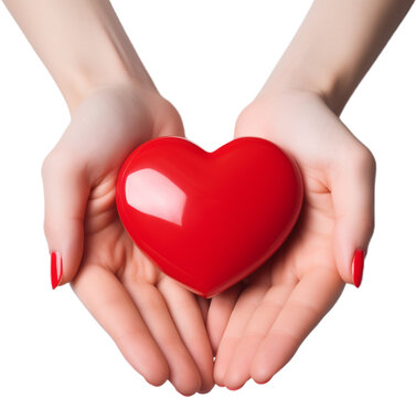 Heart, Health, Care, Love, Hands, Palms, Holding, Isolated, Close-up. DONATE LOVE. Concept art. Two female hands holding a heart. Symbolic image about health, feeling and taking care.