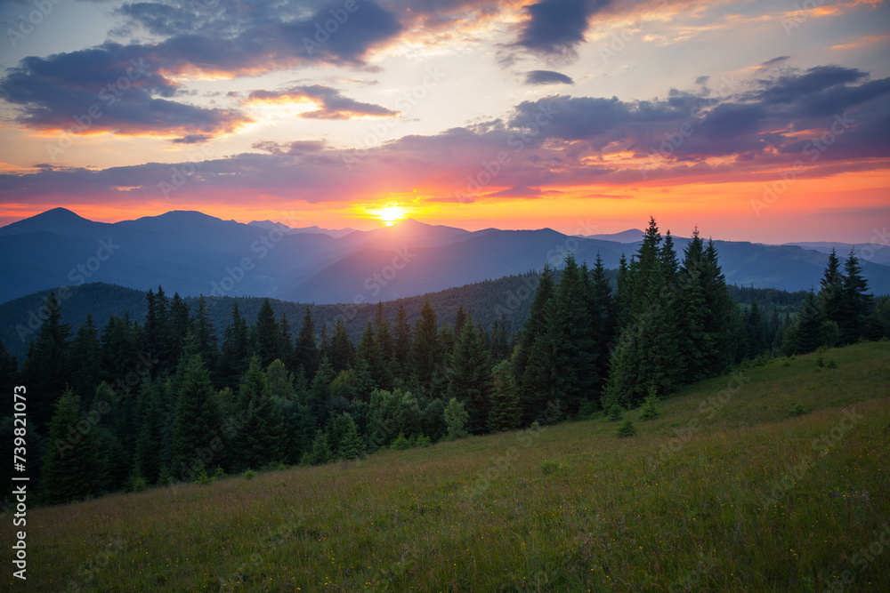 Sticker a tranquil early morning scene in the mountains. carpathian national park, ukraine.