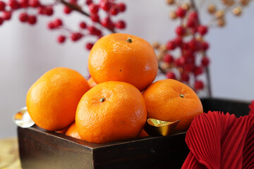 Mandarin Oranges for Chinese New Year Culture background.