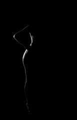 beautiful female body on a dark background
