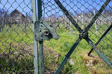 Vintage entrance gate at the vineyard - vines and tool shed in the background. Taken in spring in...