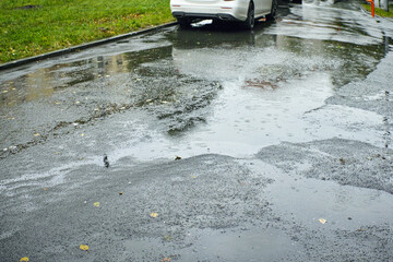 puddles on asphalt