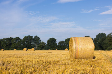 Strohballen auf Feld mit blauem Himmel
