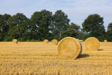 Strohballen auf Feld mit blauem Himmel