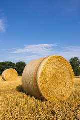 Strohballen auf Feld mit blauem Himmel