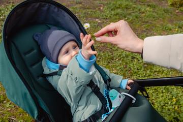 Smiling child in stroller in spring park
