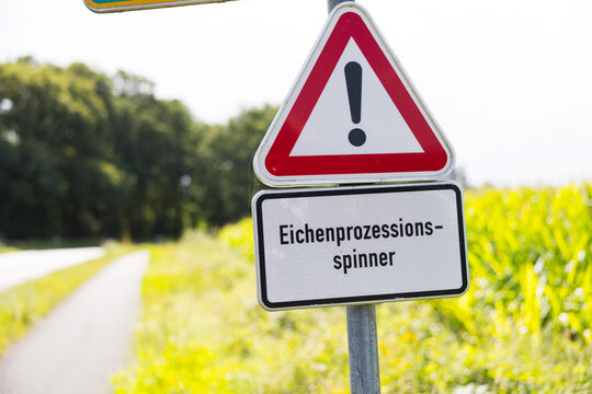 Gefahrenschild Eichen-Prozessionsspinner