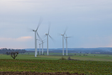 Wind turbines in a wind farm to generate clean energy. This wind farm is in Schleswig Holstein...