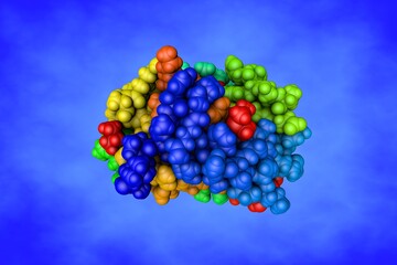 Structure of human sonic hedgehog in complex with zinc and magnesium. Space-filling molecular model based on protein data bank entry 6pjv. Rainbow coloring from N to C. 3d illustration