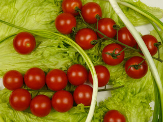 Fresh lettuce salad leaves bunch and cherry tomato