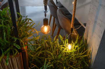 beautiful lamps shine over house plants 3