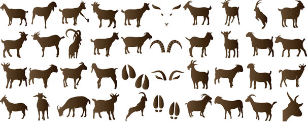 Goat silhouettes, various poses of goat, Ideal for farm, nature, milk products graphics. Vector illustrations isolated on white. Perfect for agriculture, rural, domesticated animal themes