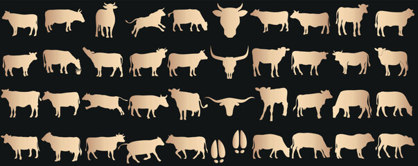 Cow silhouettes, diverse cow shapes, sizes of calf on black background. Ideal for farm, dairy, livestock themes.