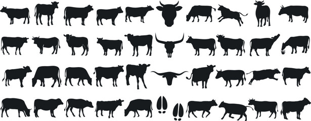 cow silhouette Vector set, cattle silhouettes, diverse breed of cows. Ideal for farm, ranch branding. Perfect for logos, decals. Black, white background. Bulls, cows, standing, walking, running - obrazy, fototapety, plakaty
