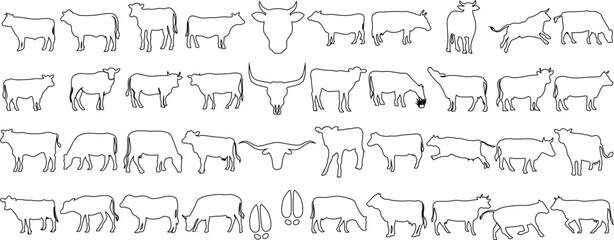 diverse cow outline Vector art, perfect for design, educational content, and illustrations. Features standing, walking, grazing cows in various styles and positions - obrazy, fototapety, plakaty