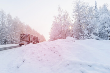 A heavy-duty logging truck with a trailer transports logs of wood. Logistic deliveries of raw lumber from the north.