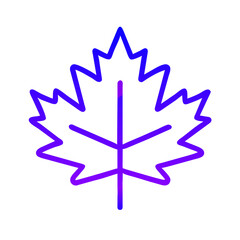 Maple leaf icon vector illustration