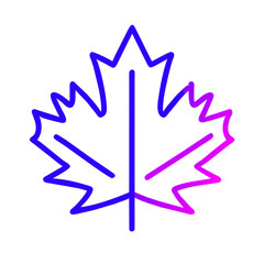 Maple leaf icon vector illustration