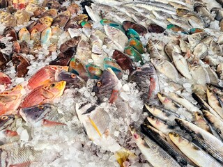 fish on ice