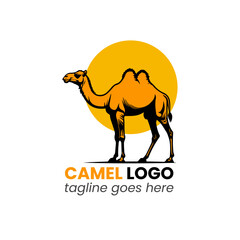 vector camel illustration mascot logo design
