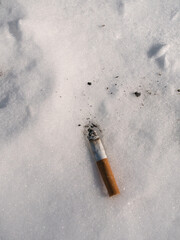 cigarette butt on snow