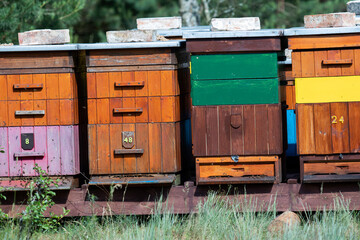 Hives with bees flying around - 739870831