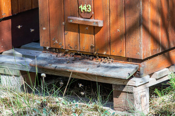 Hives with bees flying around - 739871061
