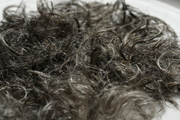 details of cut gray hair close-up