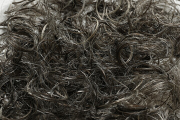 details of cut gray hair close-up