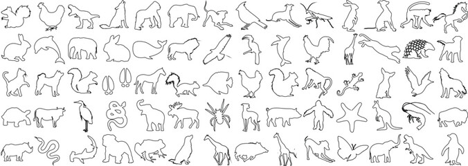 Fototapeta na wymiar animal line art collection. Perfect for logos, tattoos, wall art. Features elephant, deer, bear. Simplistic designs, black outlines on white background